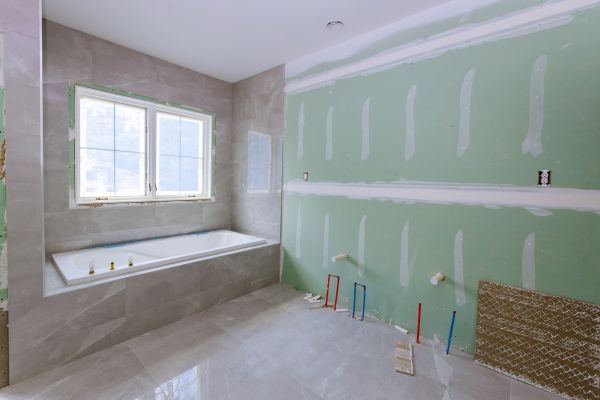 Bathroom Gutting in Meridian